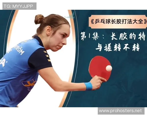 武汉乒乓球队总决赛战术分析与表现评估探讨
