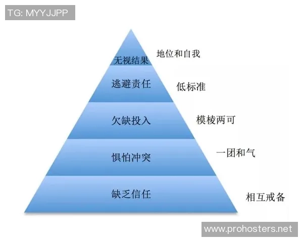 深圳排球队与重庆排球队的赛后复盘分析团队协作的关键因素与表现