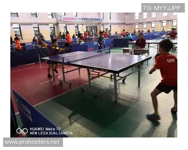 赛后分析:西安乒乓球队与深圳乒乓球队状态对比及表现总结 赛后分析:西安乒乓球队与深圳乒乓球队状态对比及表现总结