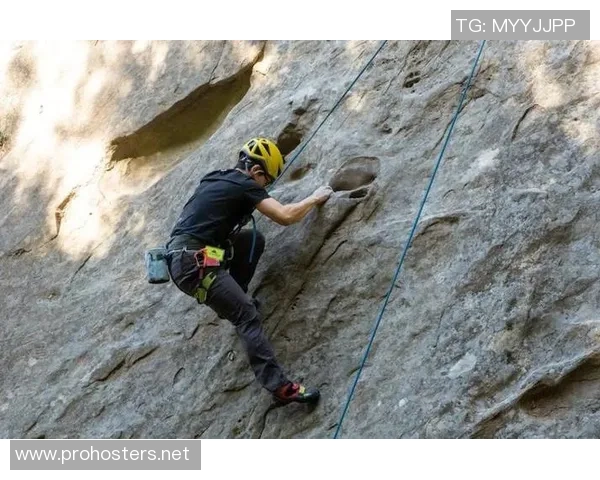 攀岩力量排行榜：武汉攀岩队位居第8名