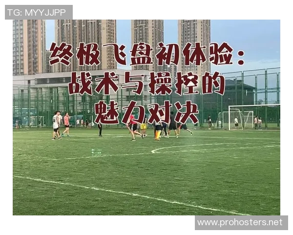 飞盘战术：南京飞盘队的运营体系_1