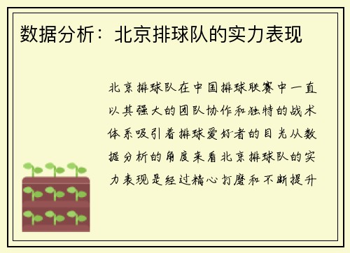 数据分析：北京排球队的实力表现