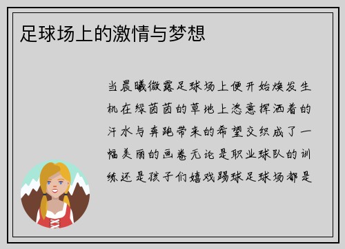 足球场上的激情与梦想