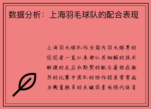 数据分析：上海羽毛球队的配合表现